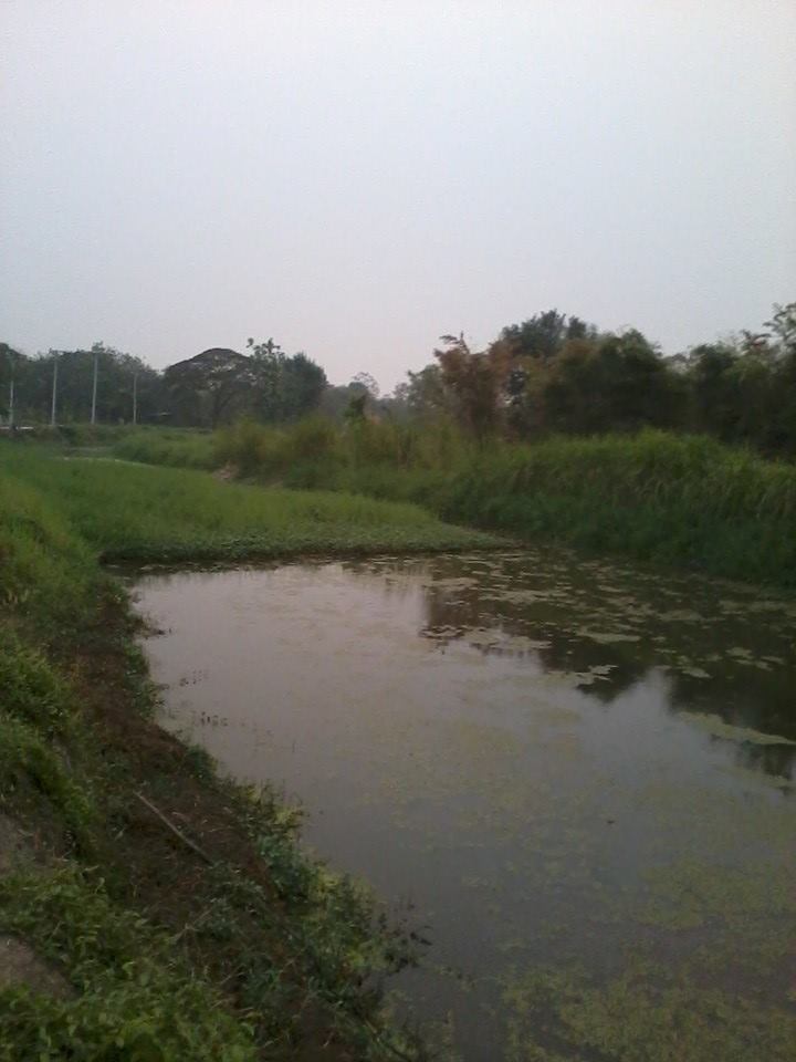 ช่อนคู่ ช่อนคลอง ช่อนดูโอ่