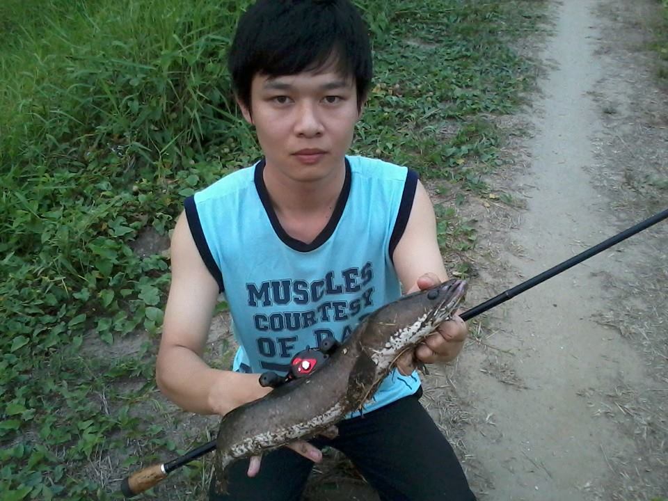ช่อนคู่ ช่อนคลอง ช่อนดูโอ่