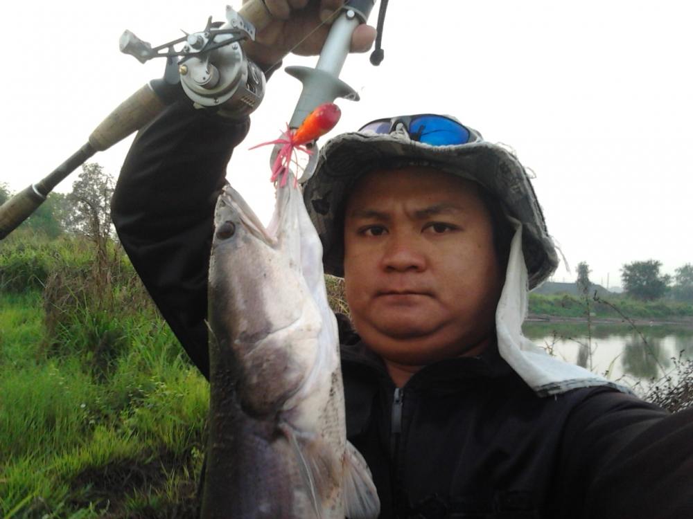ตัวแรกของปี57