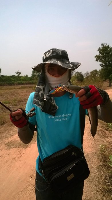 ผลงาน iRat กะ iFrog 