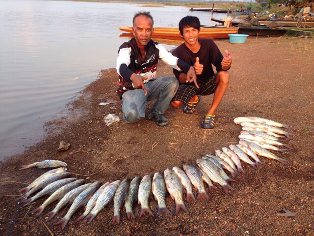 ^~^กระสูบจัดหนัก...31 ตัว^~^