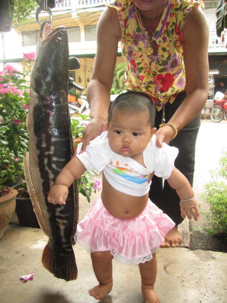 เล็กกว่าปลา