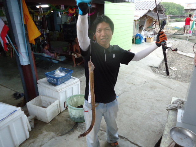 ปลาหลาดคับ