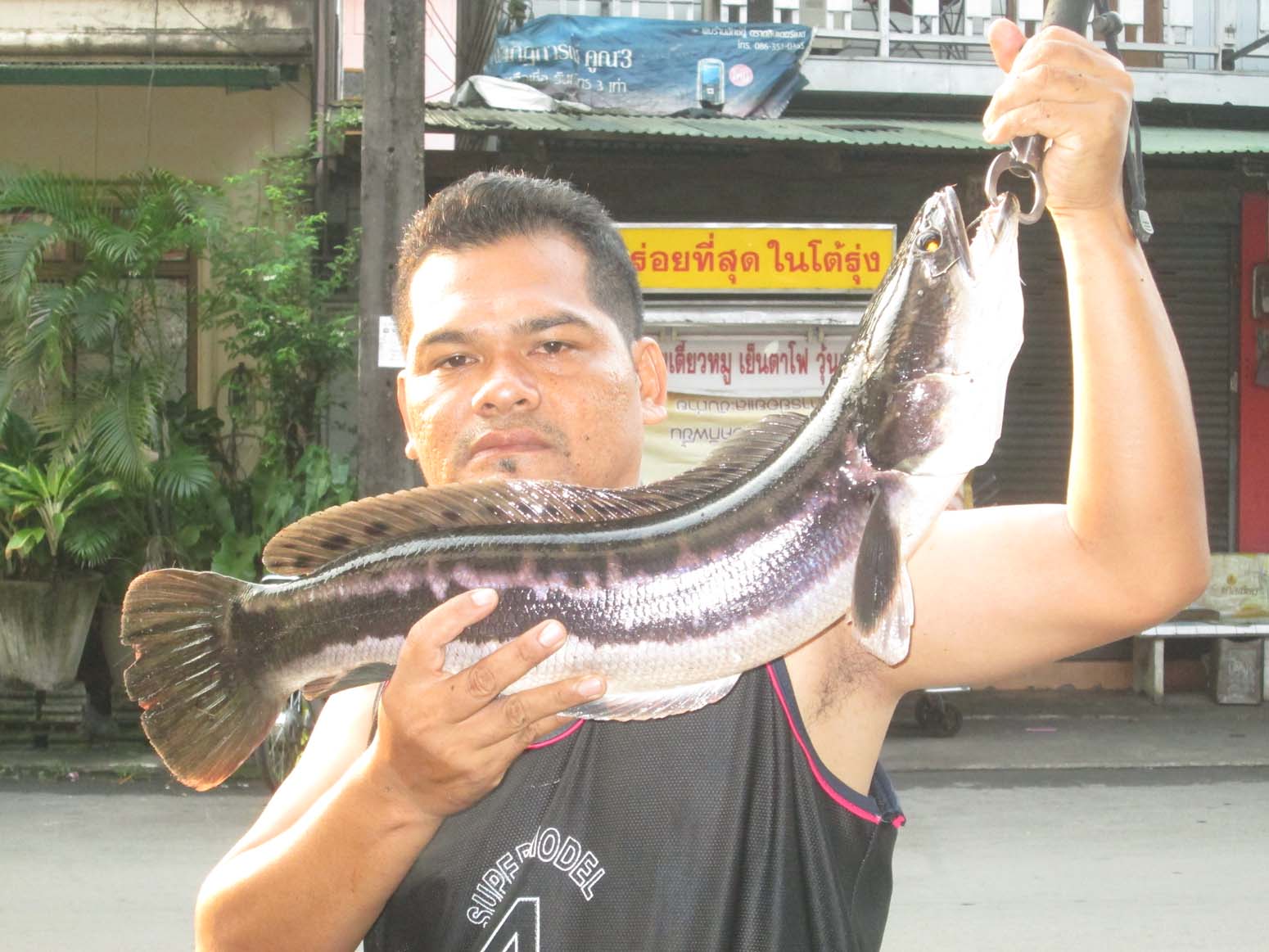 โดนของใหญ่