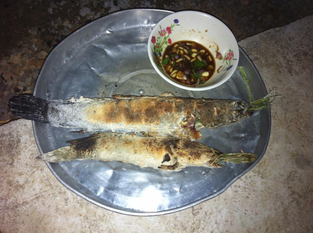 ล่าช่อนกระบี่ วันนี้ยังสนุกอยู่ครับ 