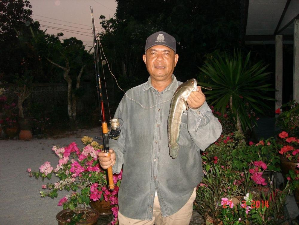 คาวบอยเมืองคอน 2 ....การผงาดของกบพีที 