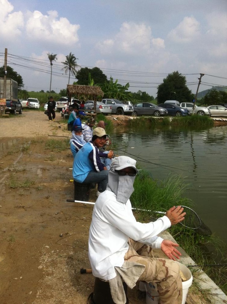 แม็ทซ์แข่งขันของบ่อCH.Fishing(ปลาสวายครับ)