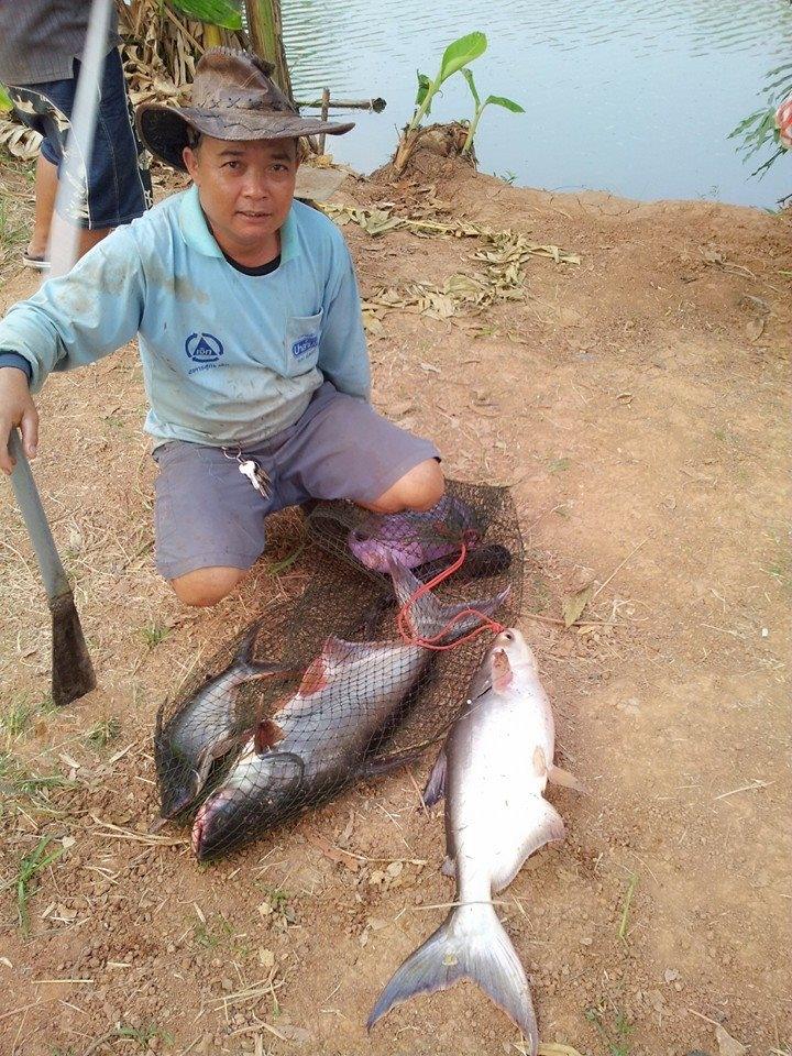 ฝากบ่อบึกชัยภูมิด้วยครับบบ