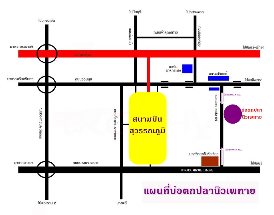 พรุ่งนี้ สมัครทีเดียว ตกได้ทั้ง ปลาเกล็ด และ ปลาสวาย บ่อนิวเพทาย