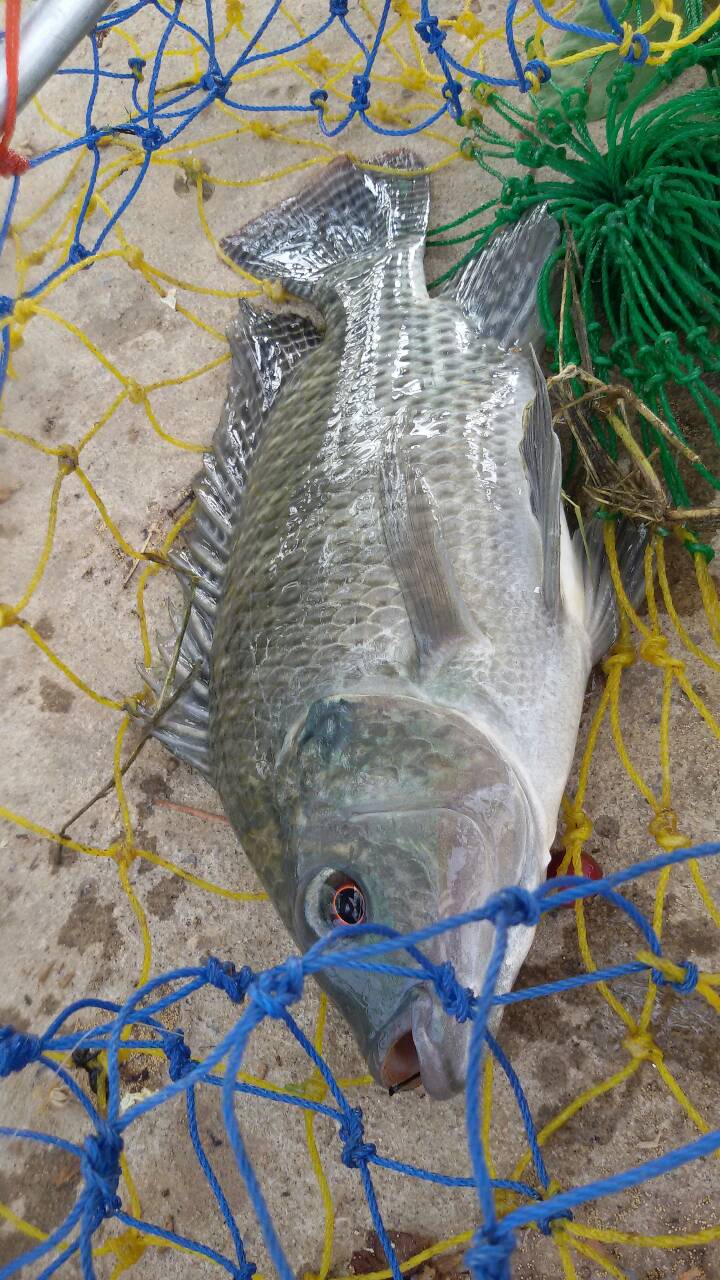 ออกไปสปิ๋ว2ชม วันไฟดับ