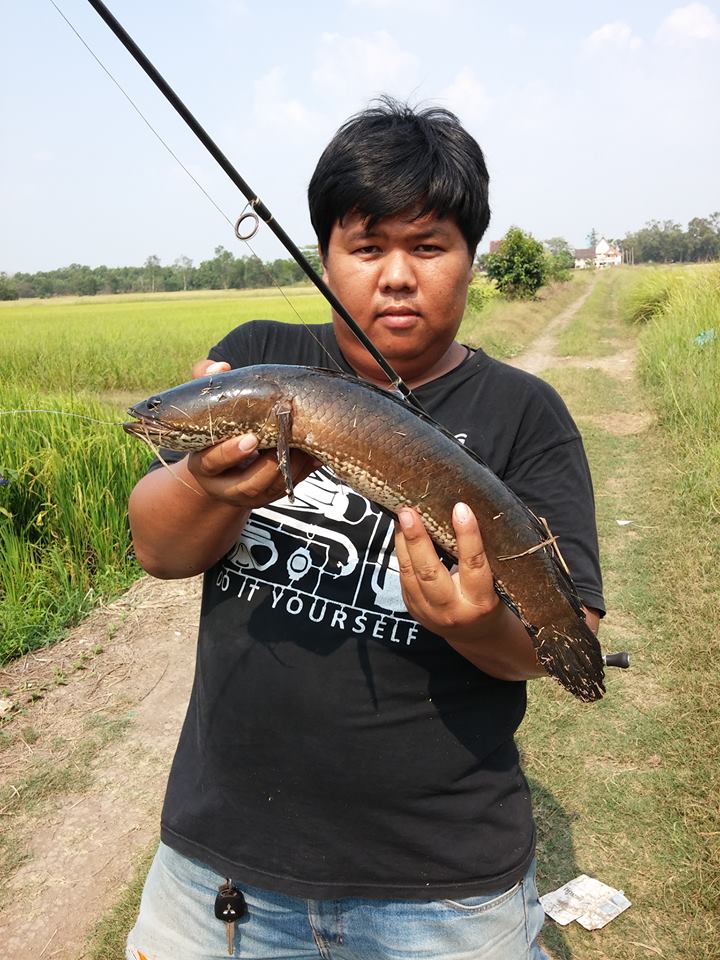 ช่อนมันหิววววว 