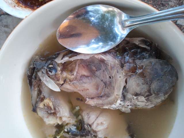 ไดโนช่อน!!!...พบกันจนได้^^