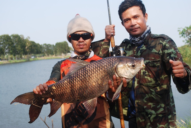 บ่อตกปลาหนุ่มบางวัว (บ่อปลารวม) วันที่ 29,30 - 03 - 57