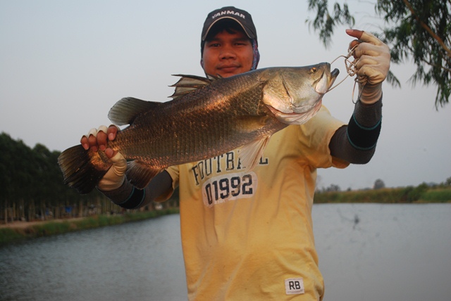 บ่อตกปลาหนุ่มบางวัว (บ่อปลารวม) วันที่ 29,30 - 03 - 57