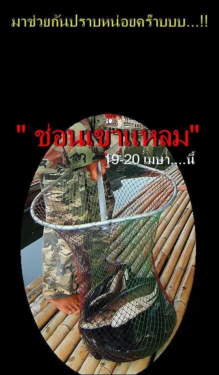 ขอเบอร์ไตเขาแหลม