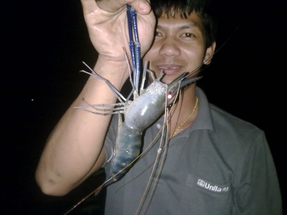 กุ้ง-อีกแล้วครับ