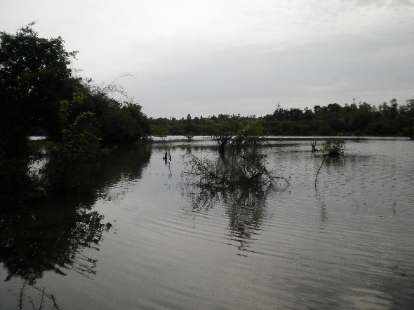 ตกได้แป๊บเดียว พายุฝนมาต้องรีบกลับ เอิ๊กๆๆ