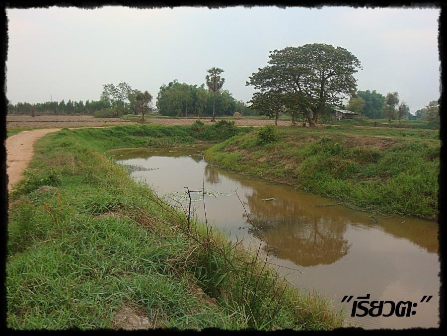 "เรียวตะ" ปลาช่อน...ต้อนรับสงกราน์ 57