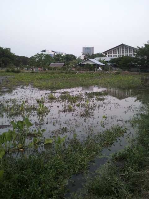2 วัน 2 ตัว อิอิ