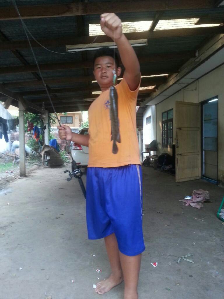 ช่อน vs ปลั๊ก