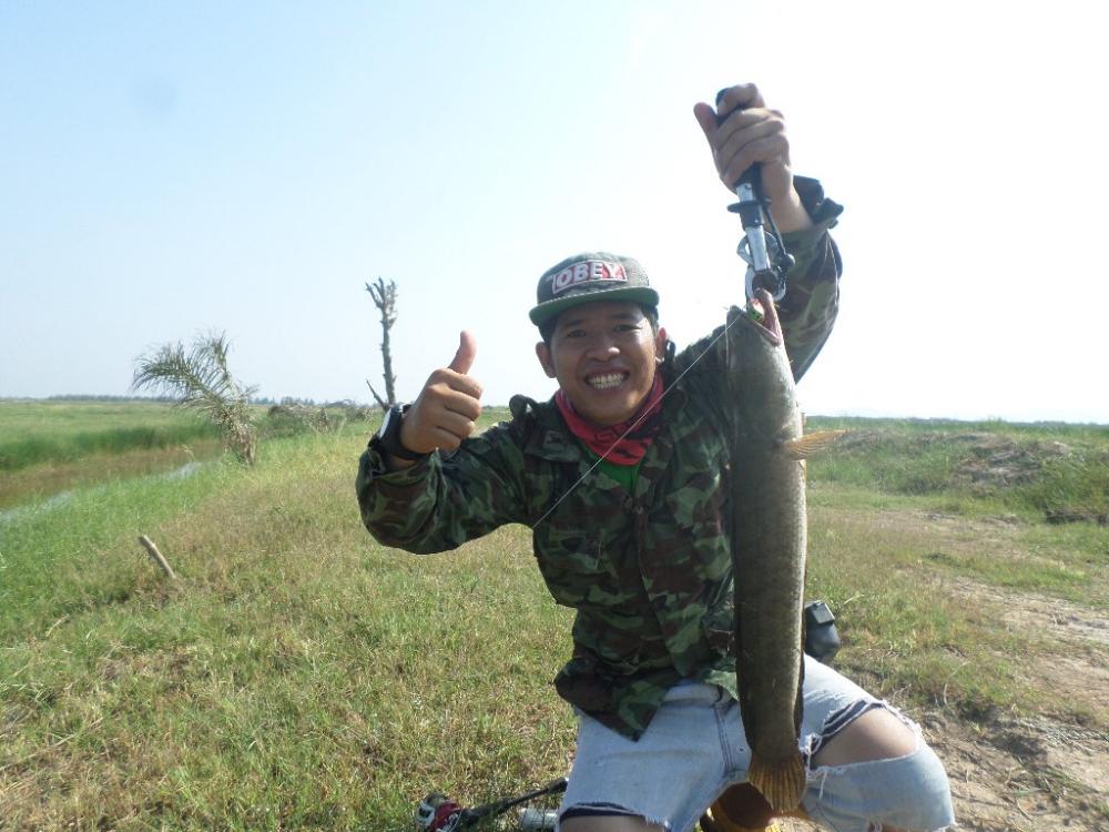 เช้านี้....ที่ทุ่งสามร้อยยอด BY TOMFISHINGMAN