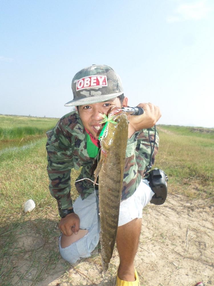 เช้านี้....ที่ทุ่งสามร้อยยอด BY TOMFISHINGMAN