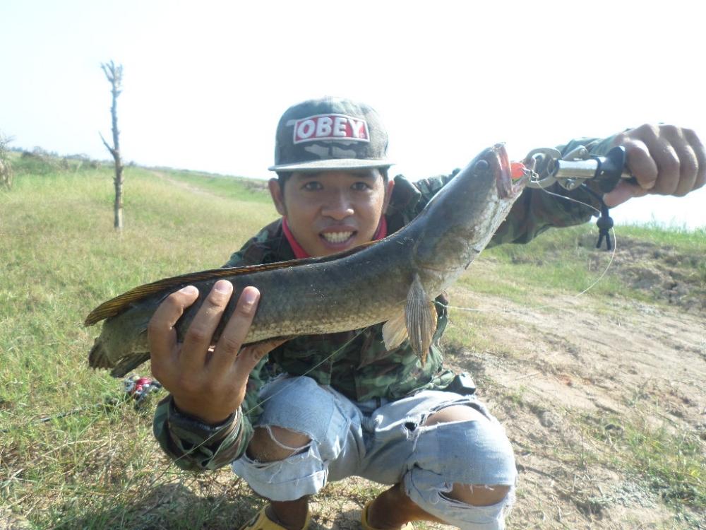 เช้านี้....ที่ทุ่งสามร้อยยอด BY TOMFISHINGMAN