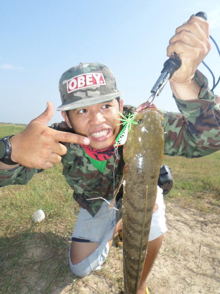 เช้านี้....ที่ทุ่งสามร้อยยอด BY TOMFISHINGMAN