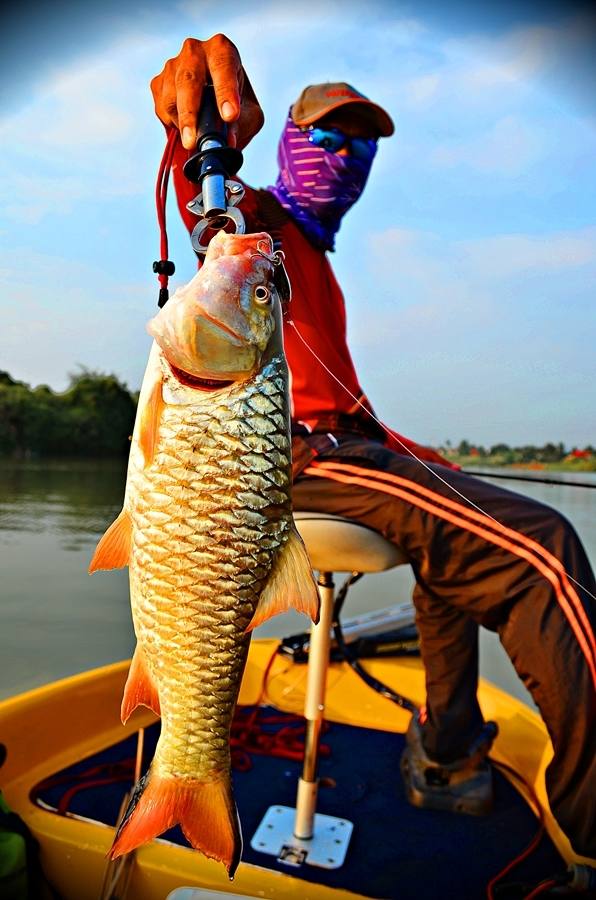 ..... ซิ่งเรือไป!!จัดหนัก " กระสูบใหญ่ Chaophaya River " ครึ่งวันมันส์สฝุดๆ