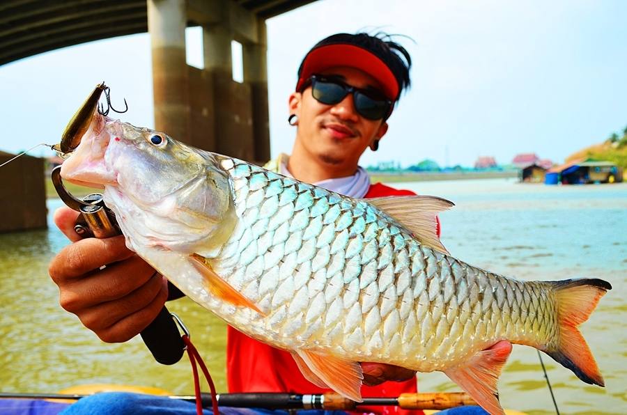 ..... ซิ่งเรือไป!!จัดหนัก " กระสูบใหญ่ Chaophaya River " ครึ่งวันมันส์สฝุดๆ