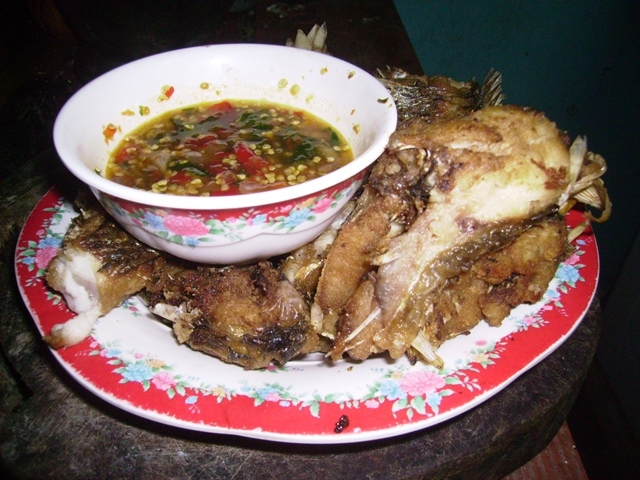 กระสูบ รายวัน(น้ำแร๊งแรง)