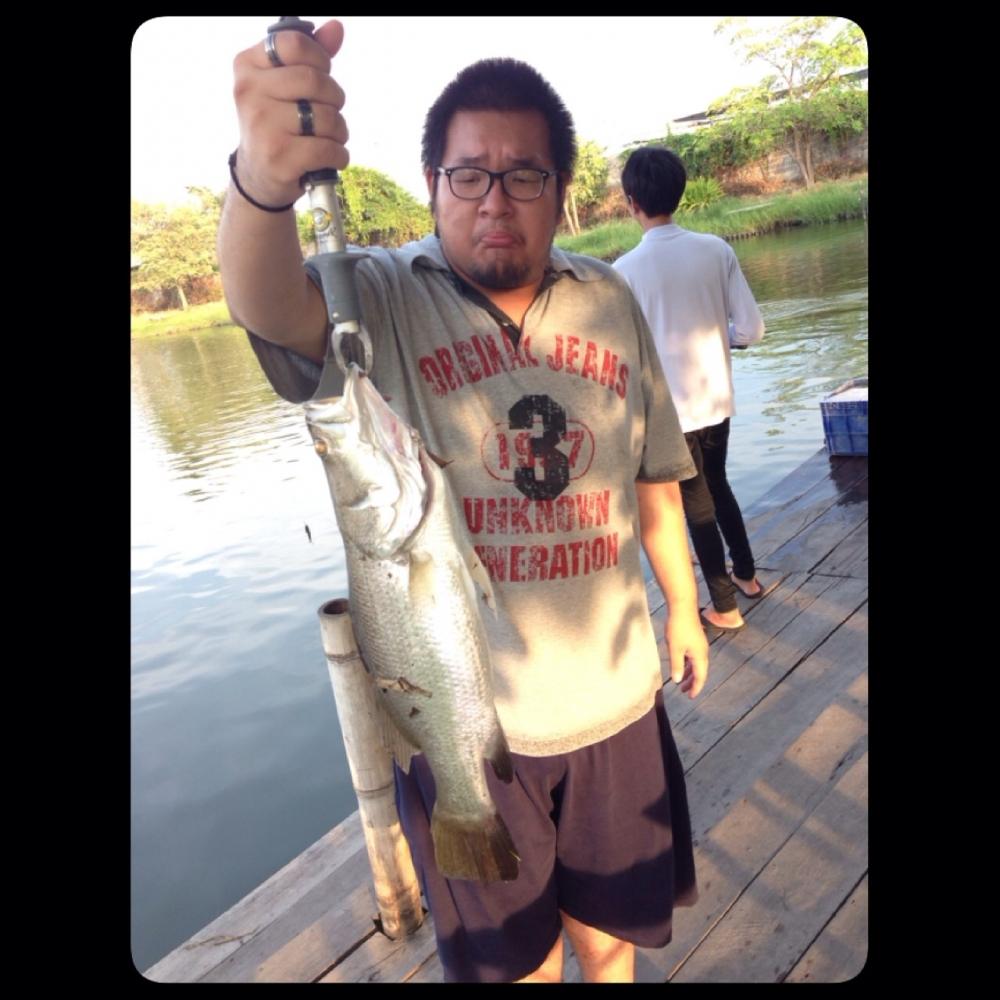 บ่อป้อม บุษราคัม ยังหวานอยู่