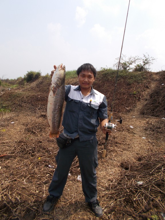 ท่ากเกวียน ชะโดใหญ่ โชติเบ็ดเทพเทวะ 17-2-14