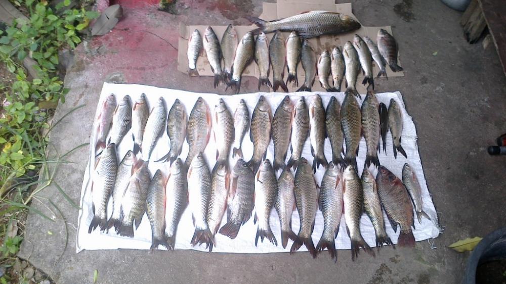 ตกปลาคลองหาดยาง 11 kg chotbedtepteva 18-10-13