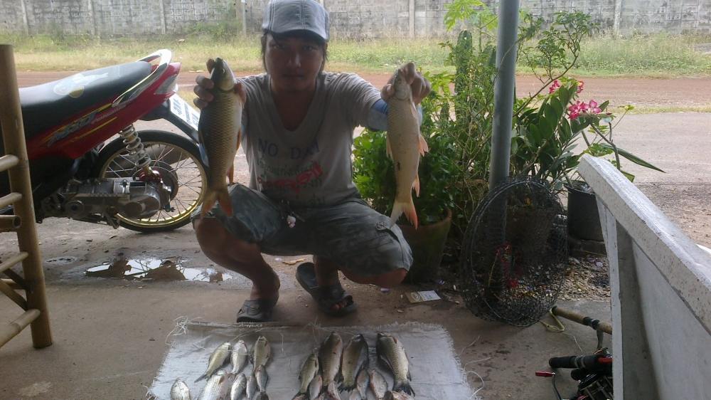 ตกปลา บ่อธรรมชาติ  บ้านดงกระทงยาม  โชติเบ็ดเทพเทวะ