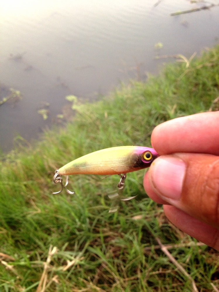 #minnow คนจน > วันนี้มันคือพระเอก!!55+