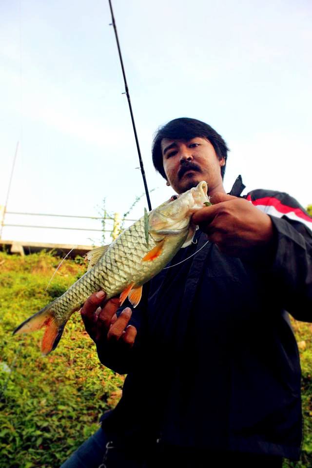 กระสูบแม่น้ำยามเช้า