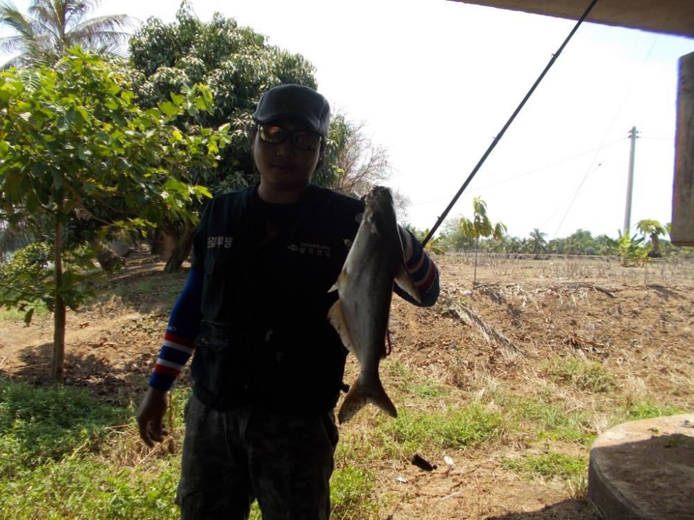 ตกปลาสะพานบางเตย  บ้านสร้าง 5.5kg  โชติเบ็ดเทพเทวะ