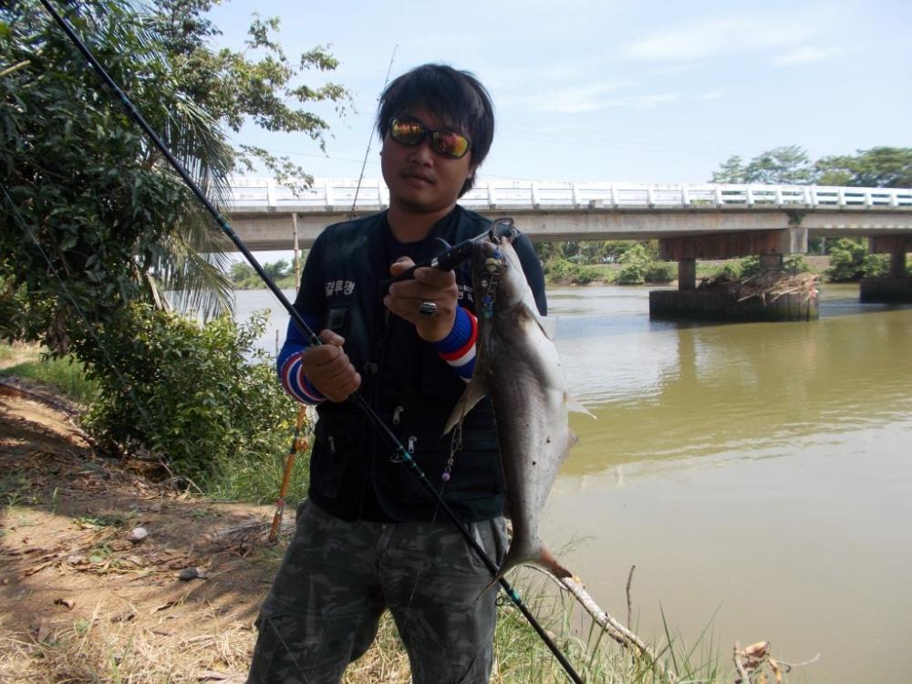 ตกปลาสะพานบางเตย  บ้านสร้าง 5.5kg  โชติเบ็ดเทพเทวะ