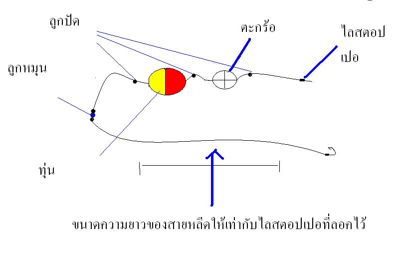 เทคนิคการตกปลาสวายแข่งแบบระแวง การตกแบบ พริ้ว ผมตั้งชื่อเองนะ