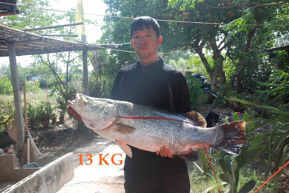 เก๋าใหญ่ กะพงยัก บ่อบ้านป้าแขก 27/4/54