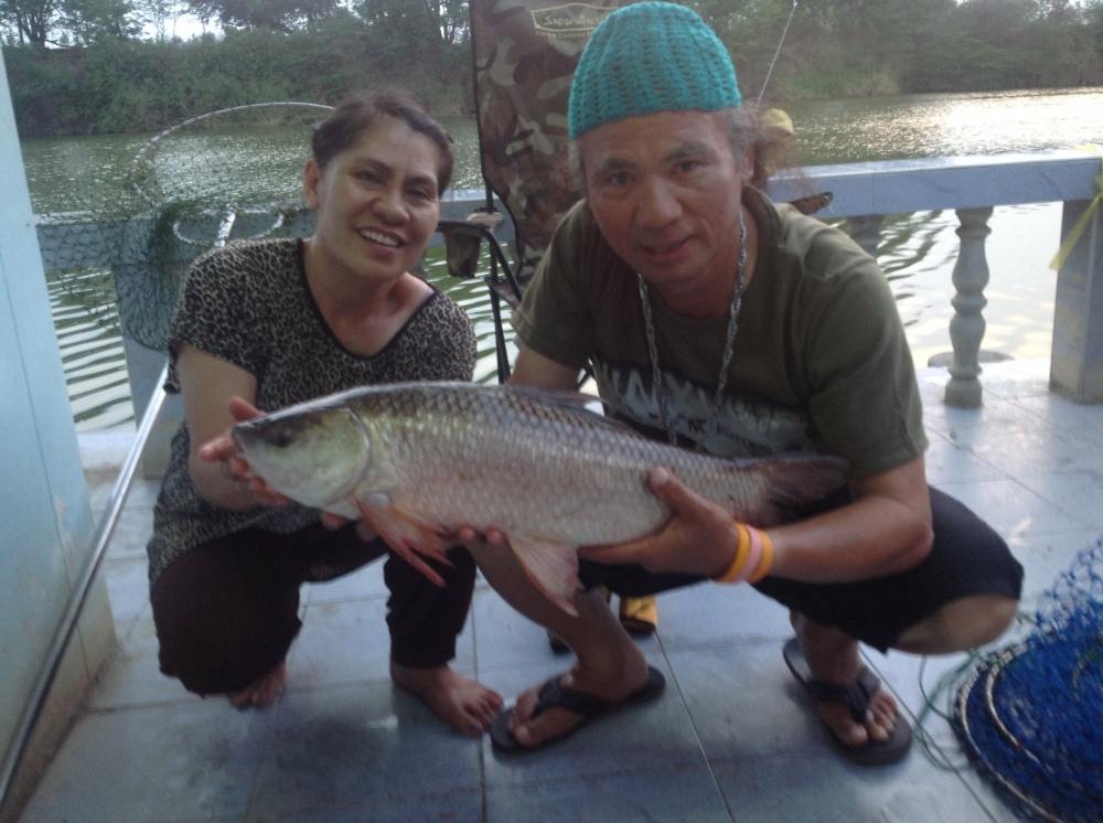 รบกวนช่วยแนะนำคันสปินด้วยครับ