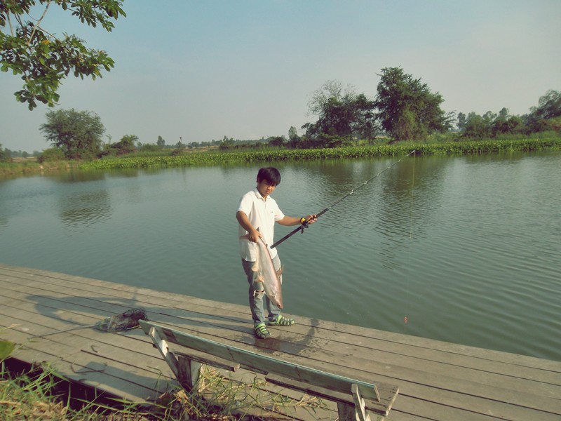 เปลี่ยนสายบ้าง