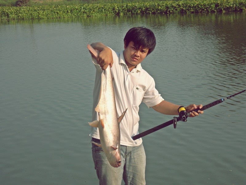 เปลี่ยนสายบ้าง