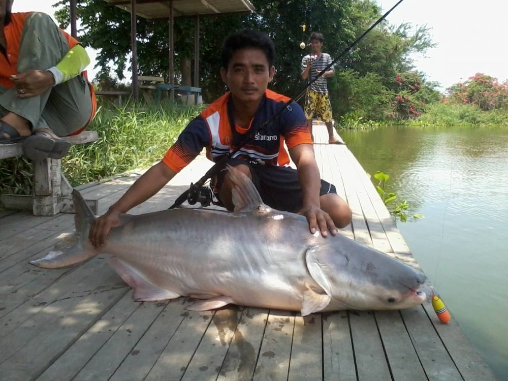 พอได้มันส์ ที่ บ่อ เสนา