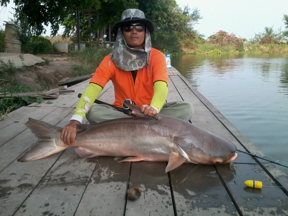 พอได้มันส์ ที่ บ่อ เสนา
