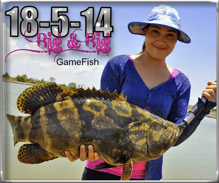 +++18-5-14+++GAMEFISH