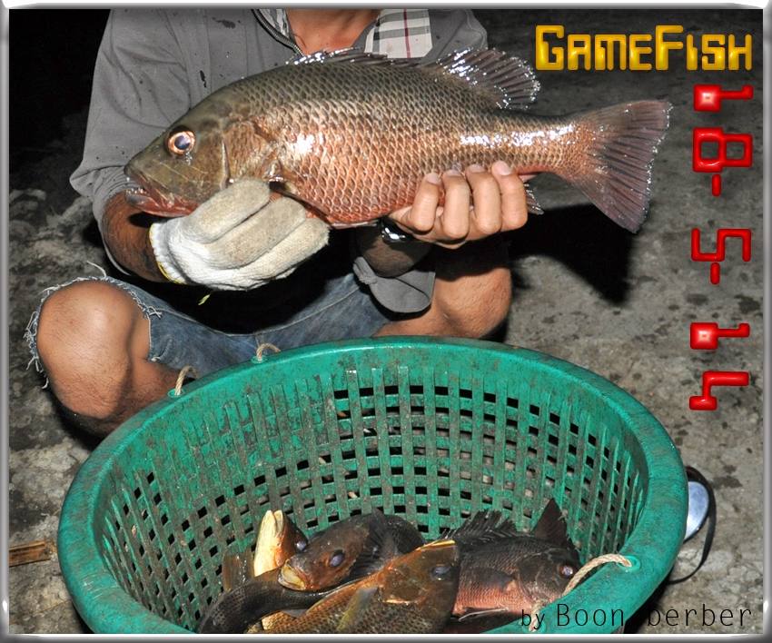 +++18-5-14+++GAMEFISH