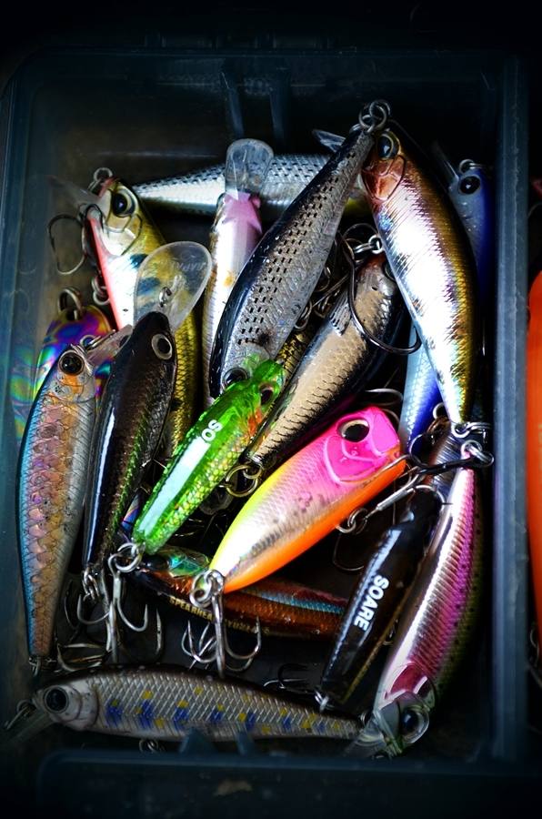 ..... Light Game งานหนักปะทะ !! ปลาเบี้ยวยักษ์ Chaophaya River Angthong