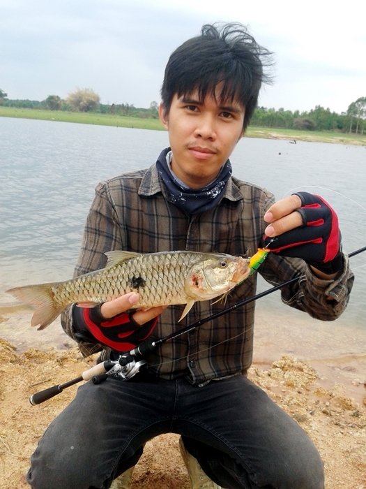 เมนูปลาเผาเกลือ......กระสูบเขื่อน